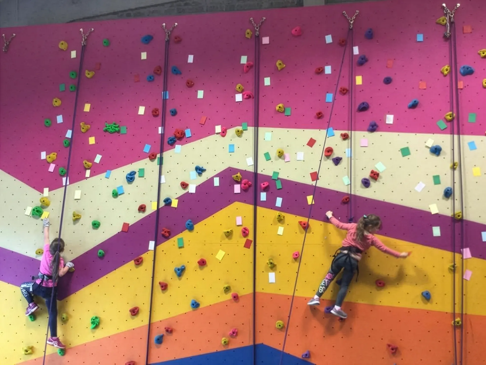 Two girls climb and collect different cards from the beginner wall in the Climbing Camp at Dublin Climbing Centre